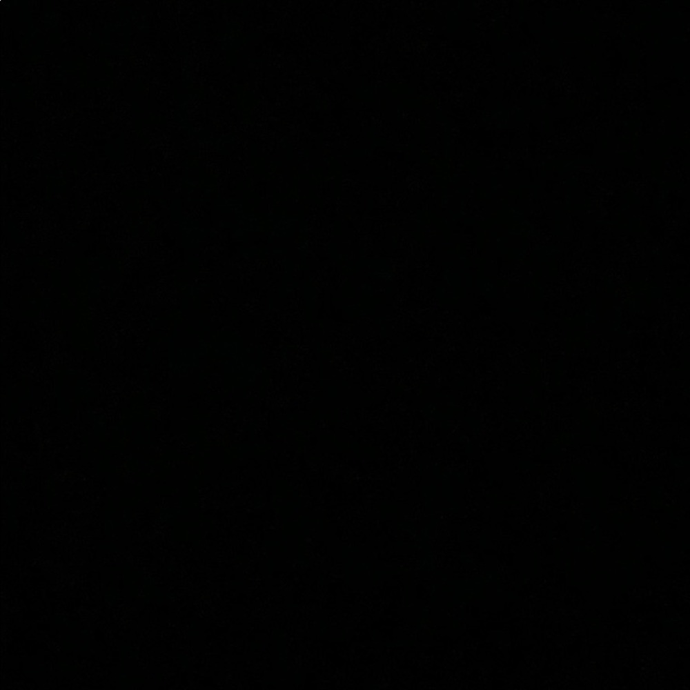 Meet your Posher, Delia